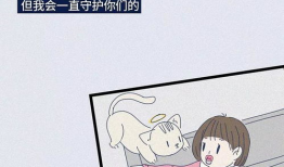 流浪猫漫画,流浪猫的温馨漫画故事