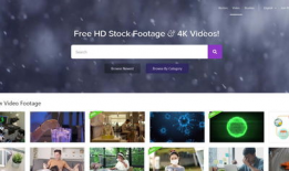 短视频网站首页,潮流内容一网打尽，轻松畅享精彩瞬间